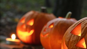 Realiza compras inteligentes para decorar tu hogar en Halloween.